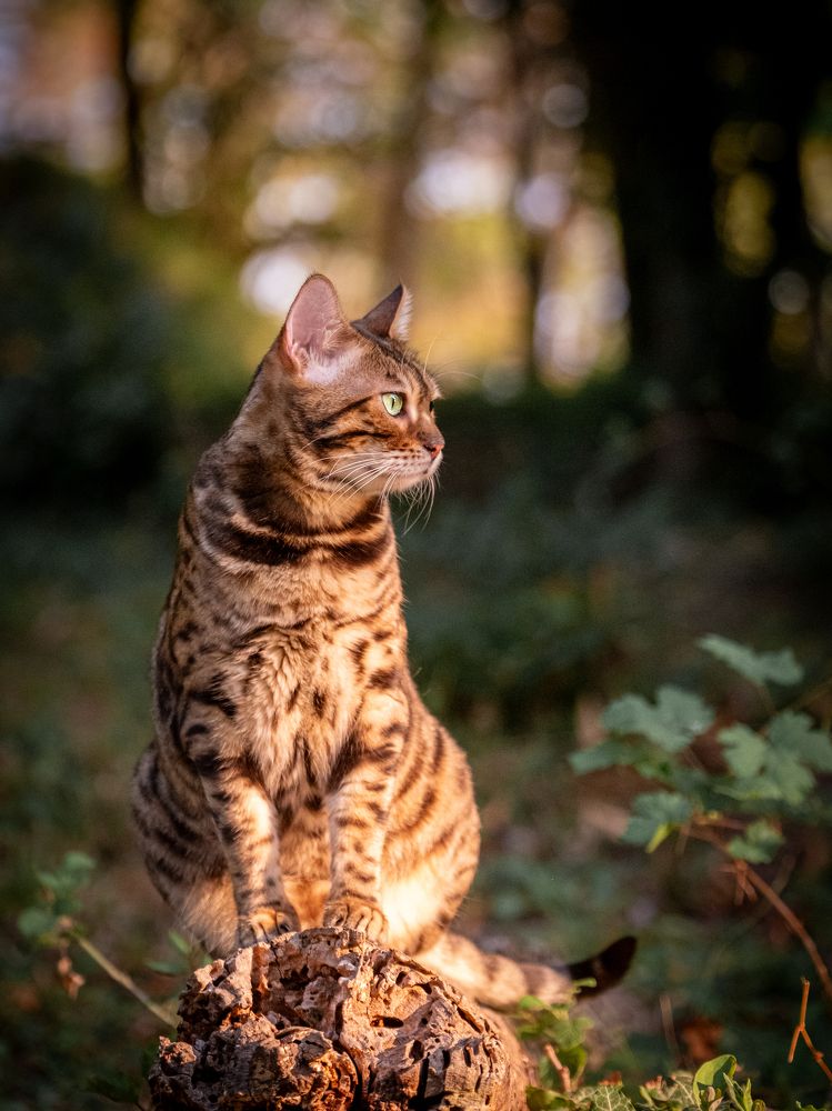 Photograph by Dina Damotseva