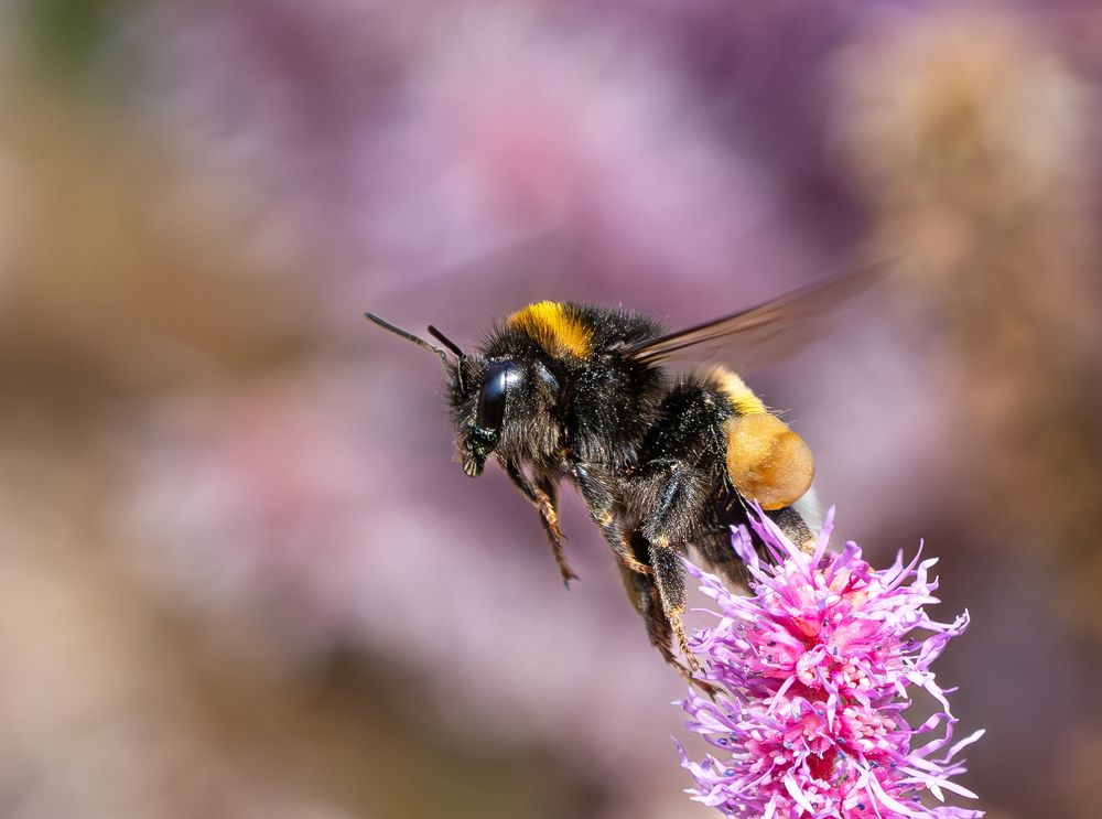 Photograph by Viktor Makarov