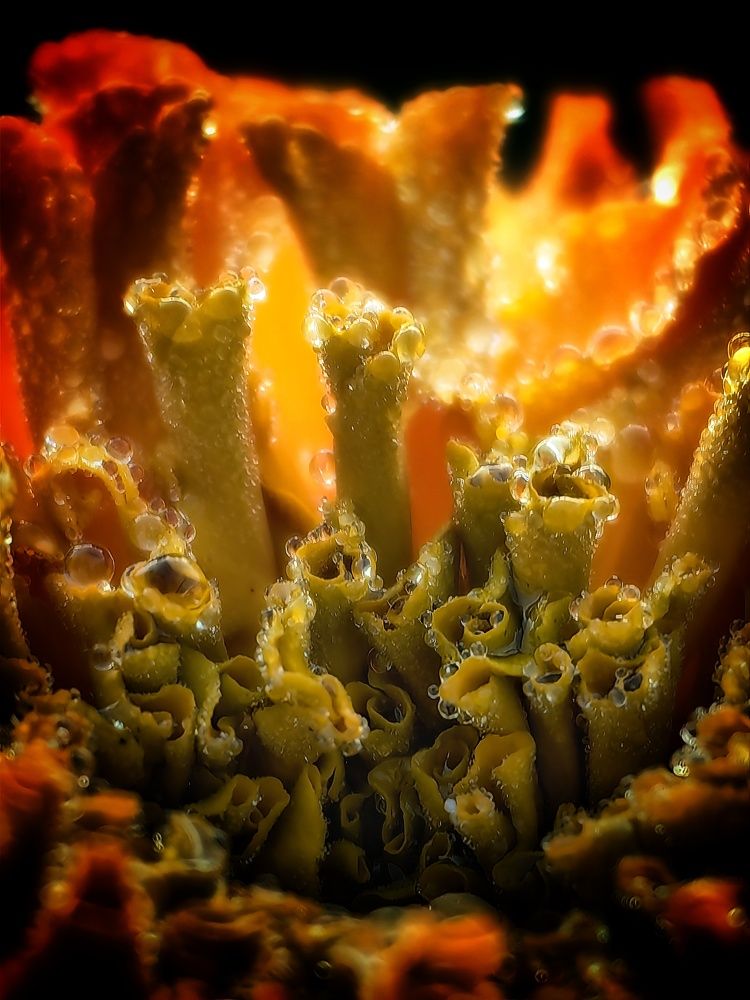 Photograph by Сергей Зайцев