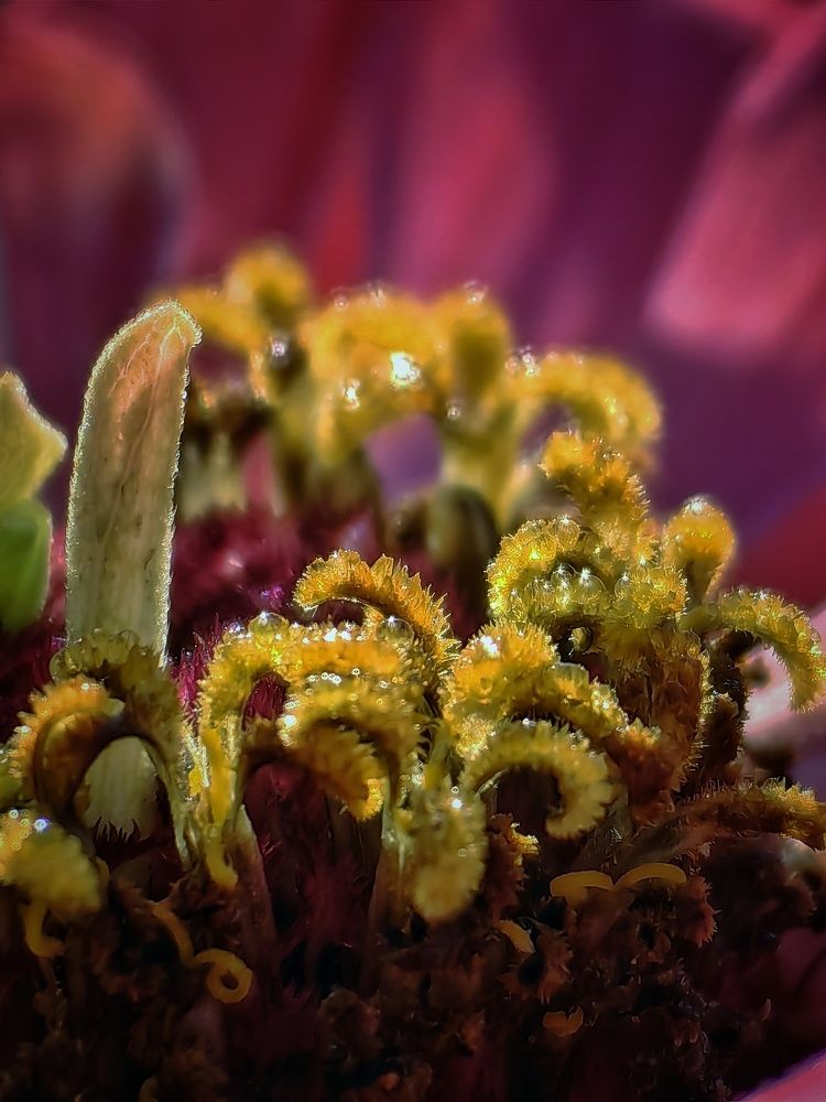 Photograph by Сергей Зайцев