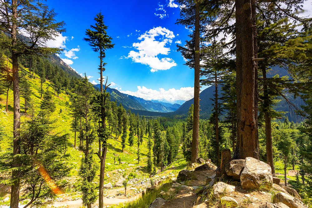 Kamrat Velly, KPK Pakistan