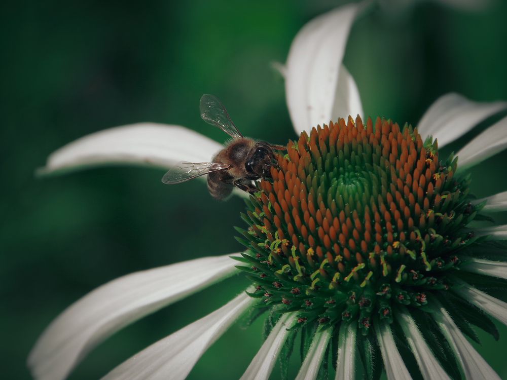 Photograph by Елена Щитова