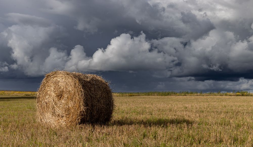 Photograph by Николай