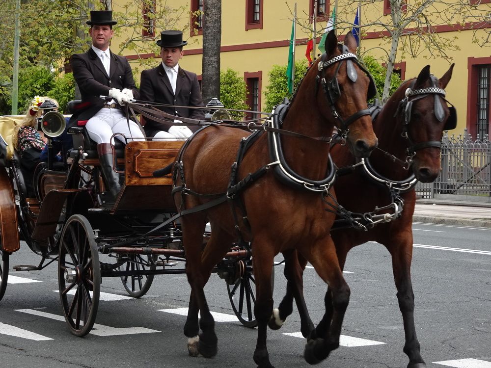 Photograph by Мила Милая