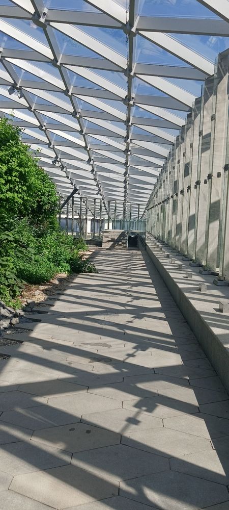 Photograph by Анна Артёменко