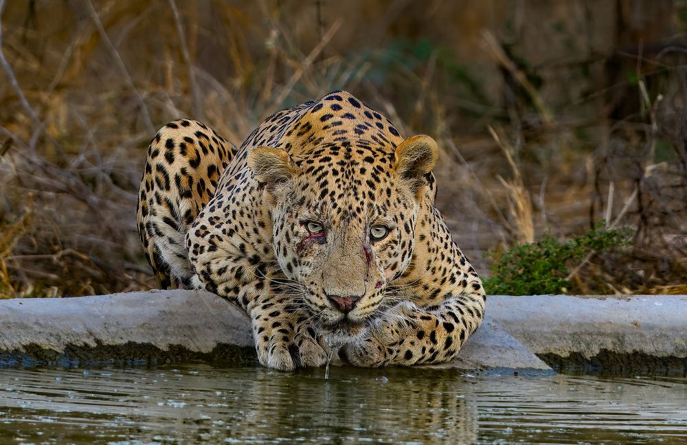 Photograph by Bibhas Deb