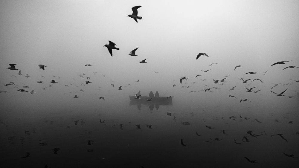 Feathered and fabulous