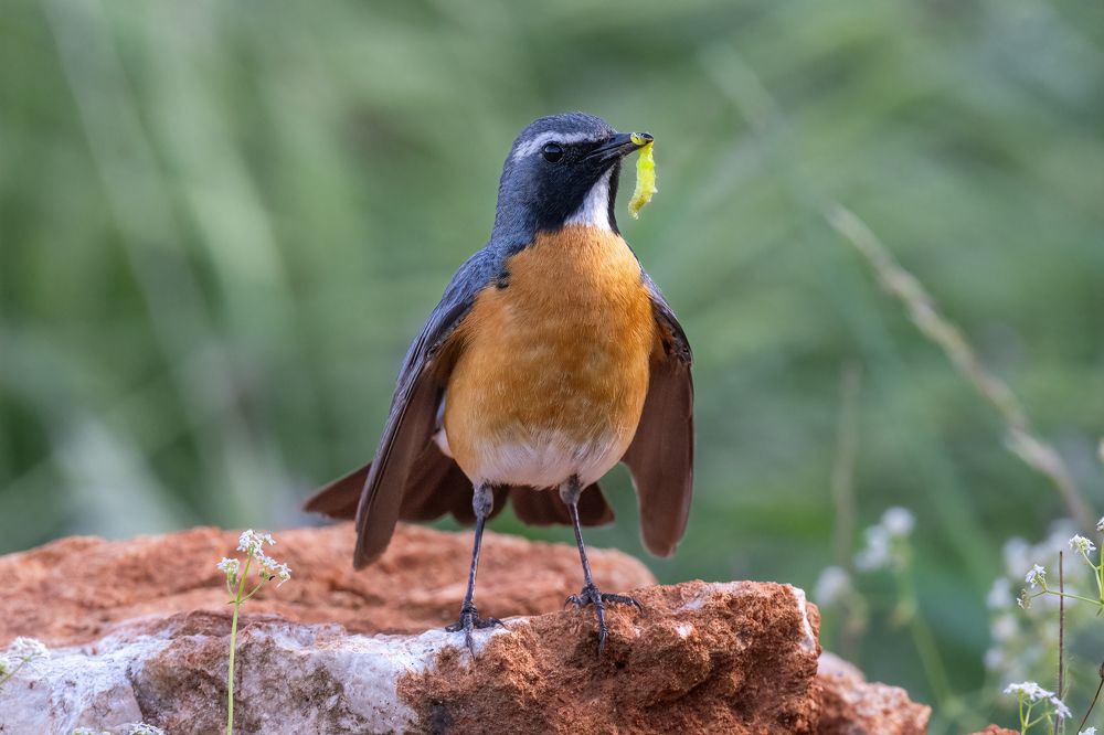 Photograph by Eren Aksoylu