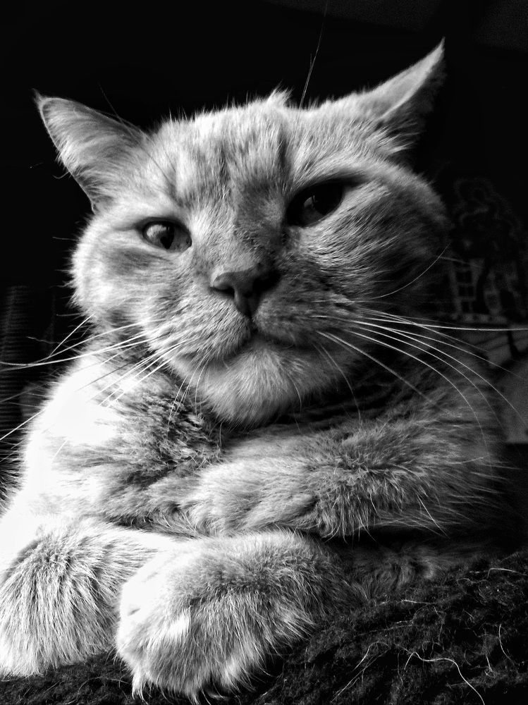 Photograph by Sacha van Rietschoten