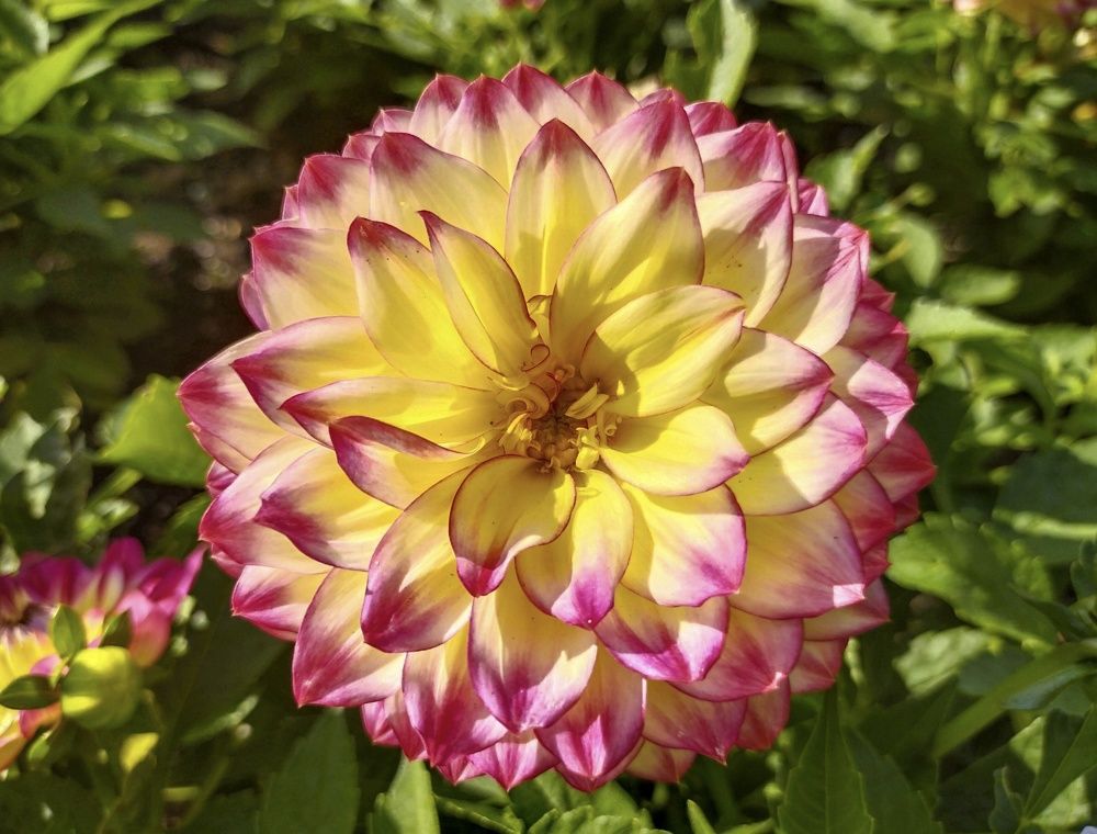 Photograph by Sergey Kurkov-Tarkovsky