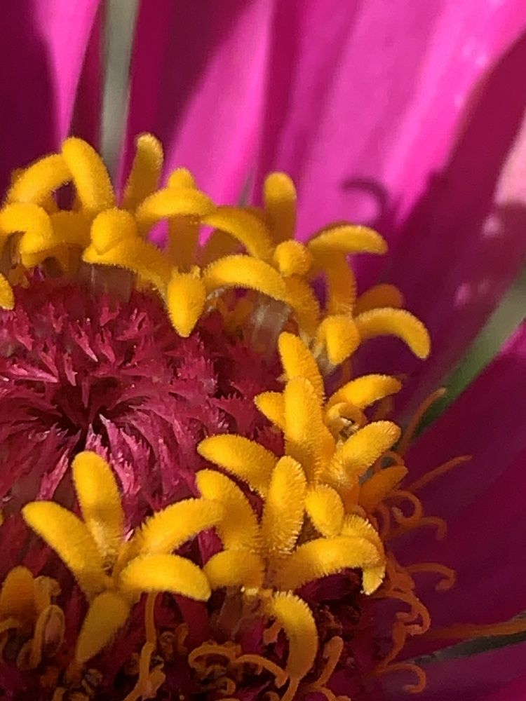 Фотография автора Ирина Шпаковская