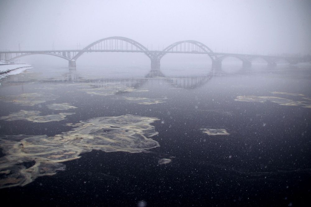 Фотография автора Васильева Дарья