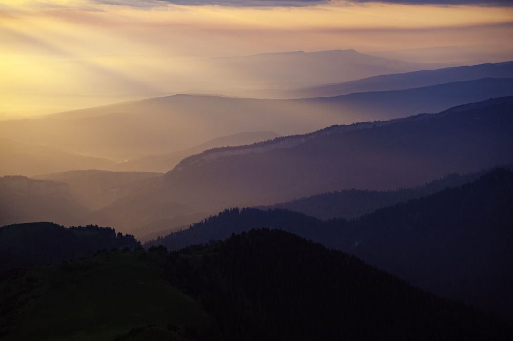 Фотография автора Васильева Дарья