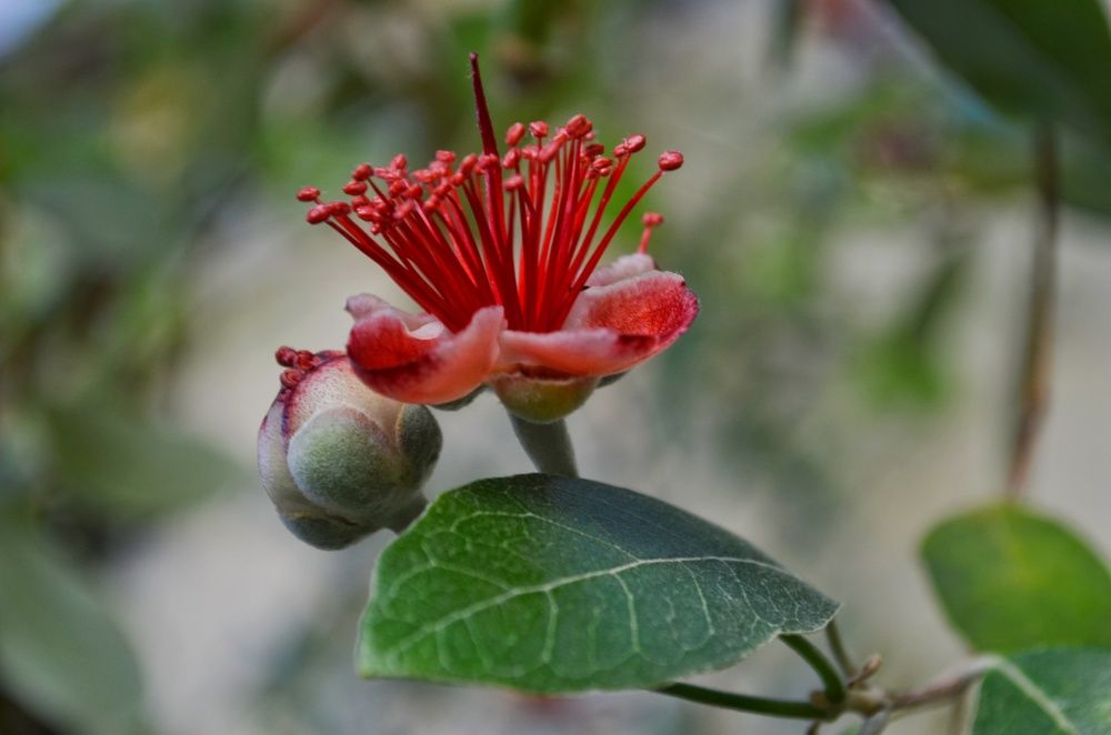 Photograph by Margareth Tikhonova