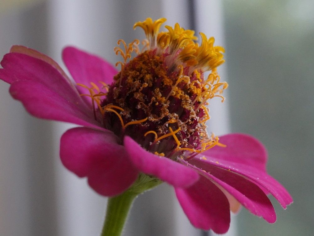 Photograph by Алфия Бугакова