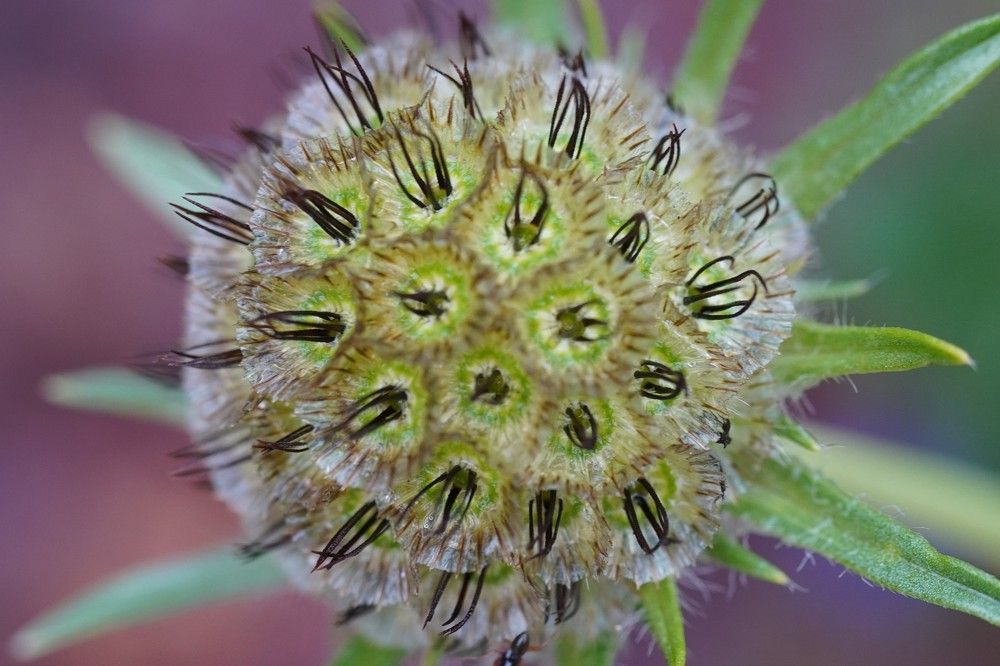 Photograph by Алфия Бугакова