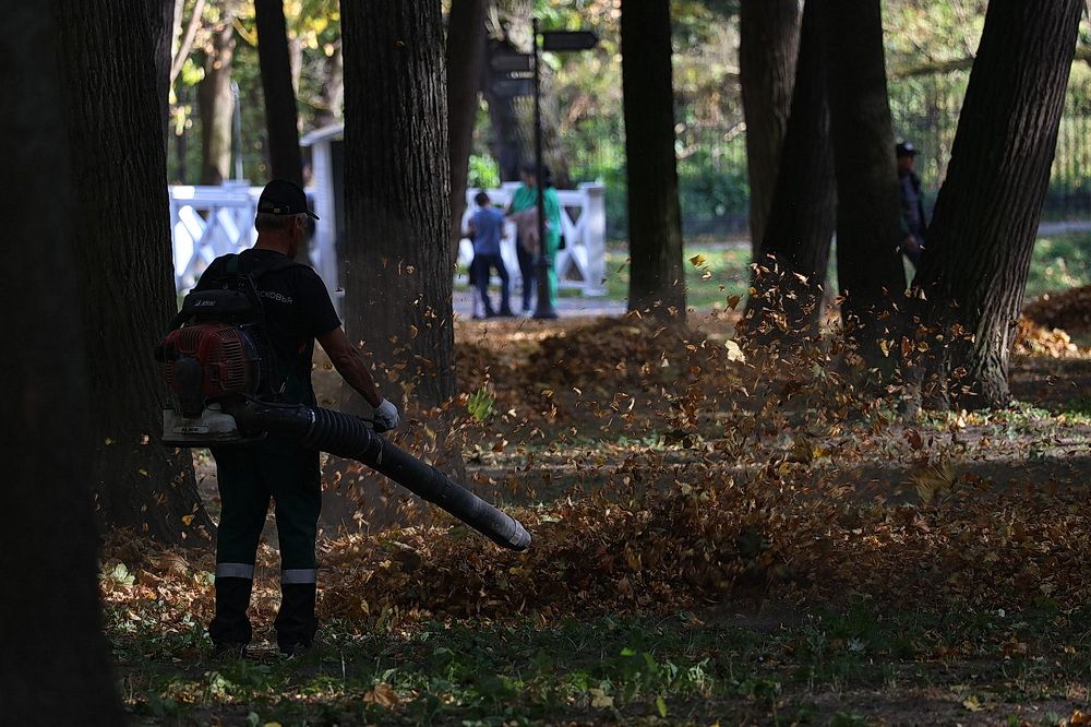 Фотография автора Колосова Елена