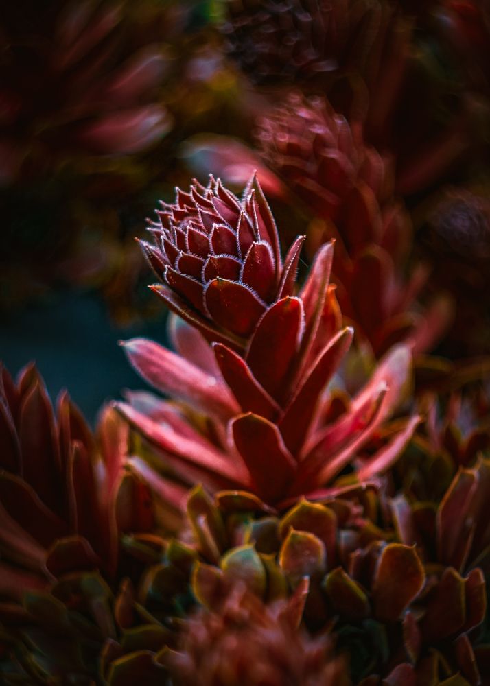 Photograph by Ольга Казакова