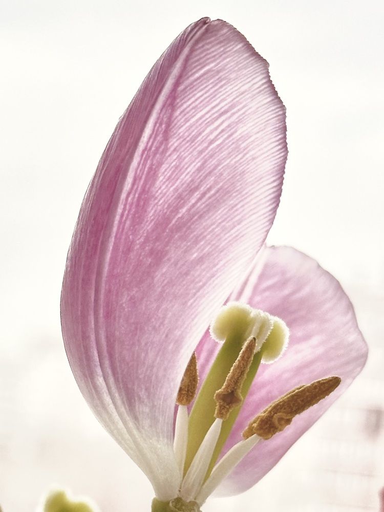 Photograph by Ольга Барулина