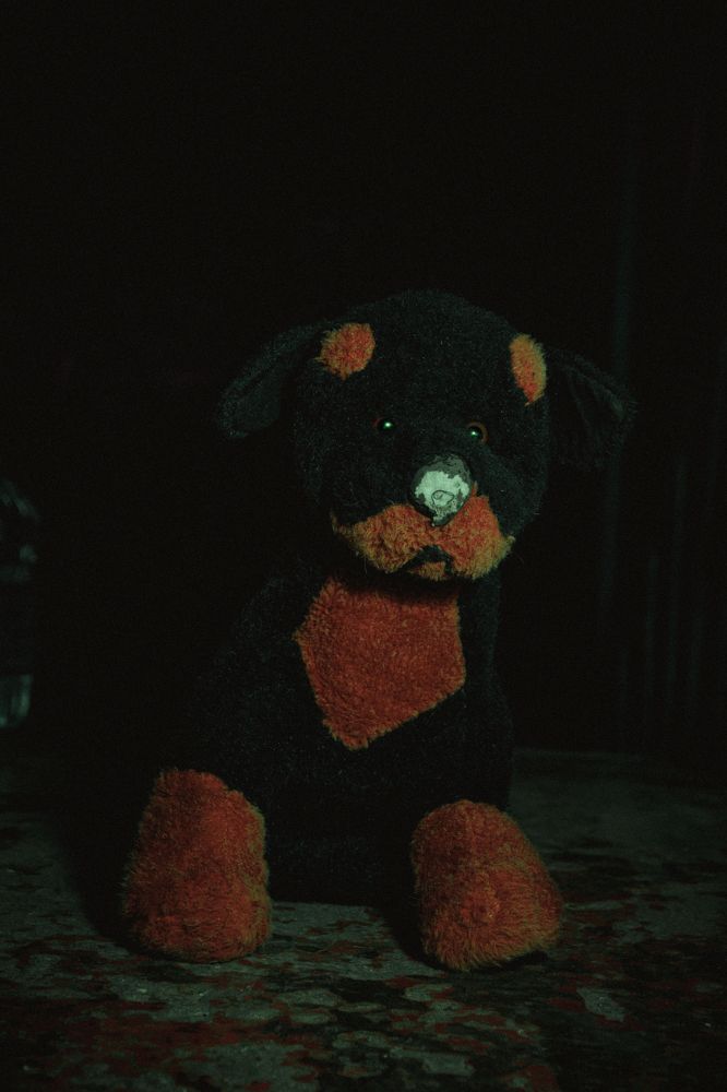 Photograph by Даниил Петруненко