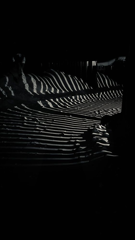 Photograph by Светлана