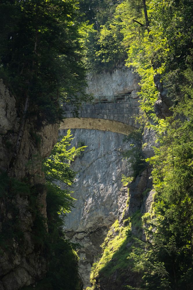 Photograph by Semeniuc Anna