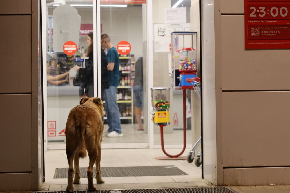 Photograph by Руслан Кадыров