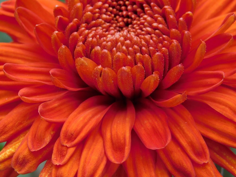 Photograph by Татьяна Колчанова