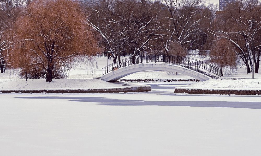 Photograph by Ольга Барулина
