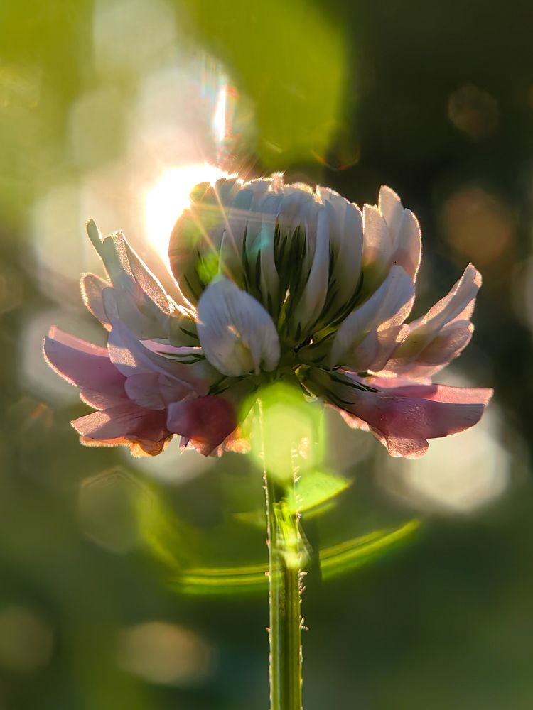 Photograph by Елена Макеева