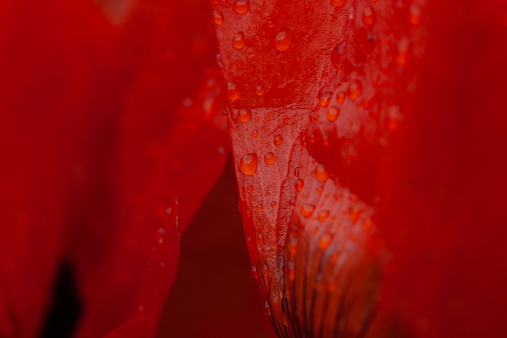 Photograph by Потемкина Евгения