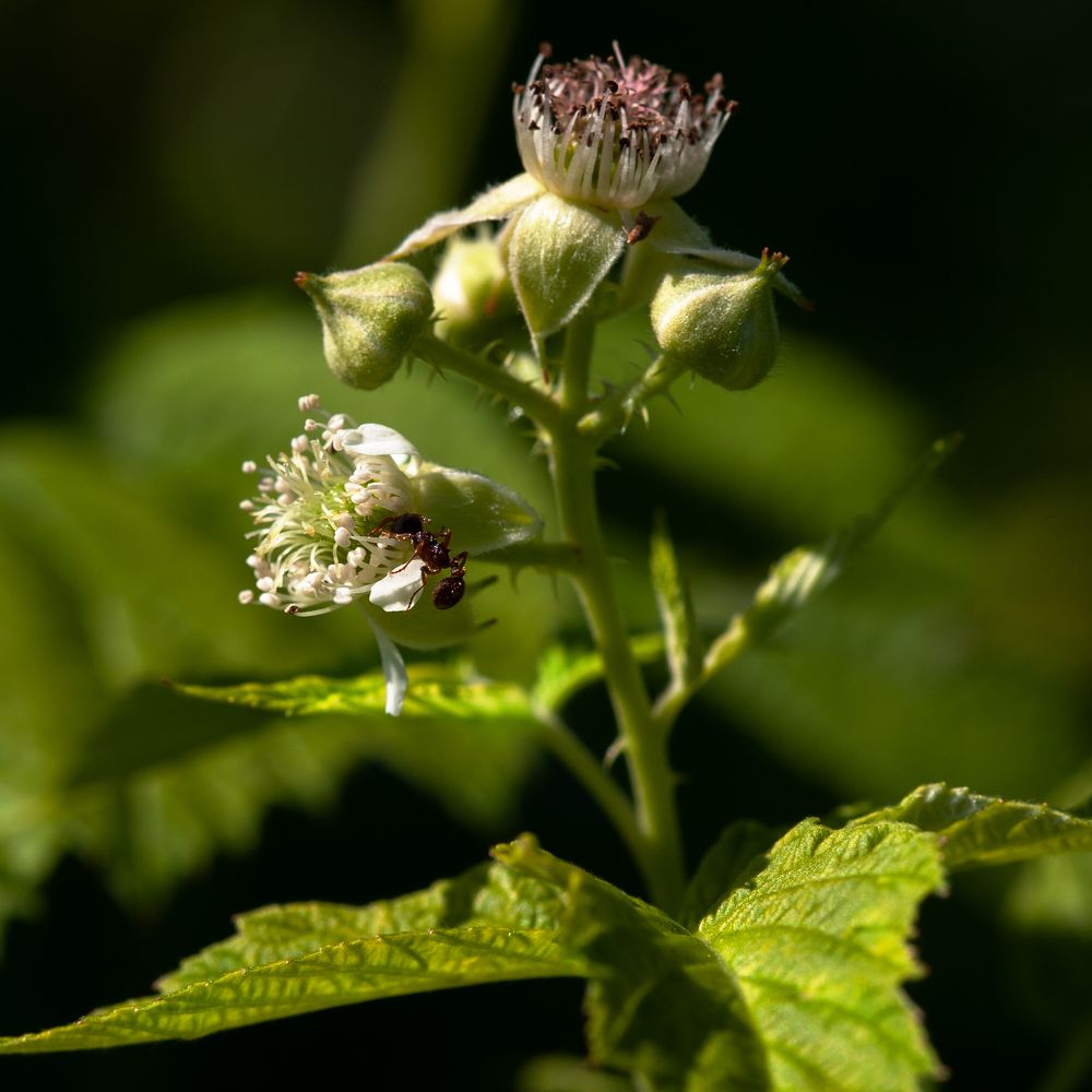 Photograph by Потемкина Евгения