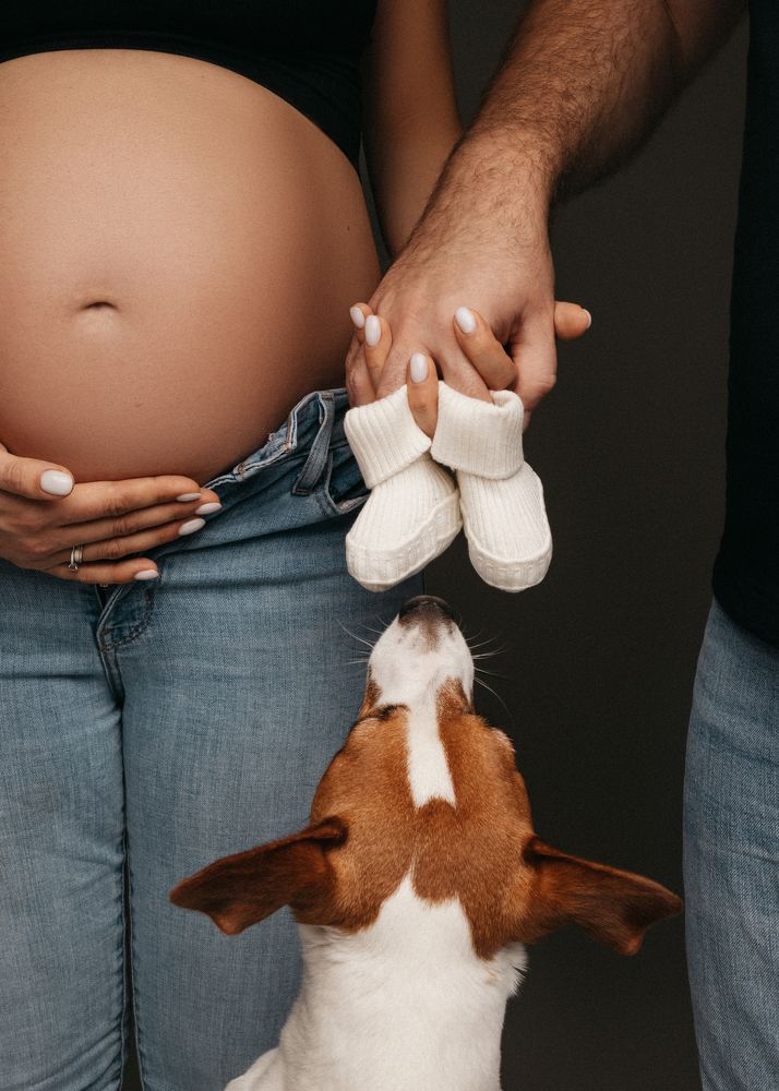 Photograph by ANYA SOUL