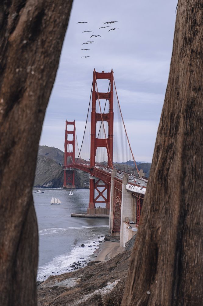 Фотография автора Сергей Братищев