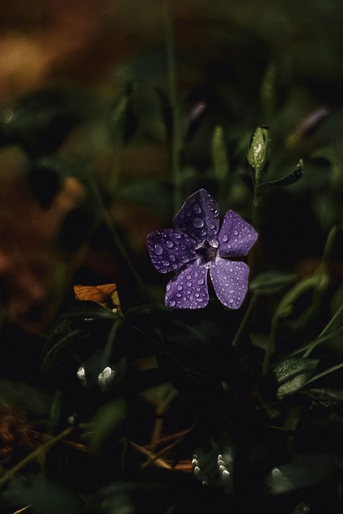 Photograph by Анастасия Черкасова