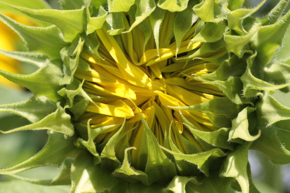 Photograph by Ионова Татьяна