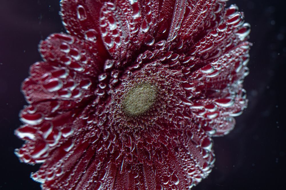 Photograph by Roman Iukliaevskii