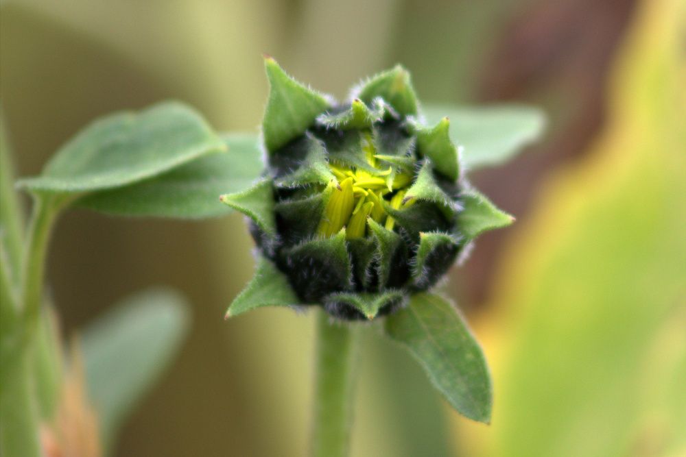 Photograph by Светлана Кравченко