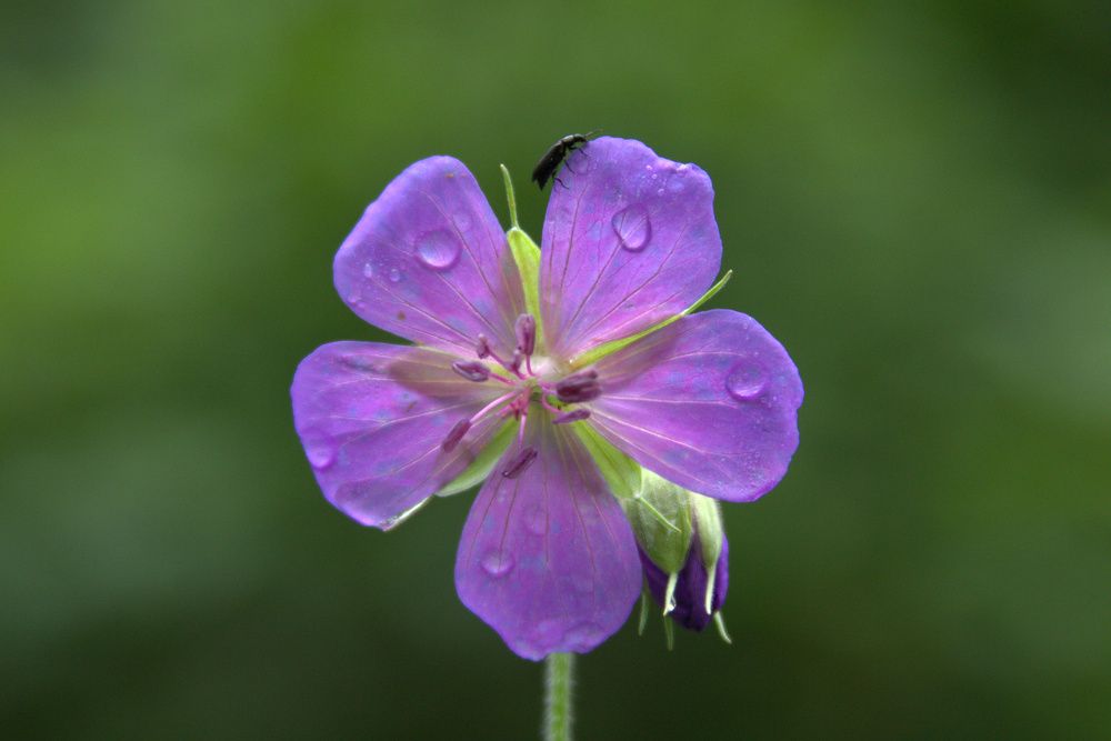 Photograph by Светлана Кравченко