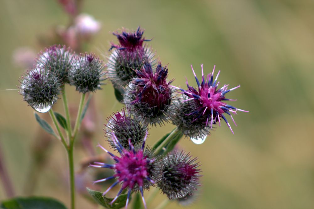 Photograph by Светлана Кравченко