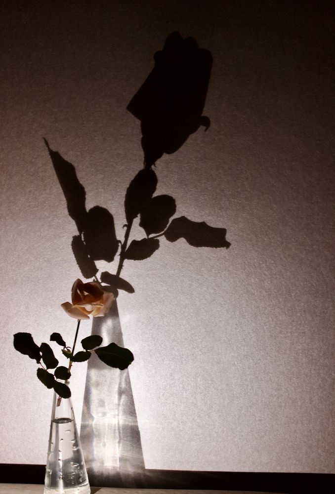 Photograph by Лариса Белашова