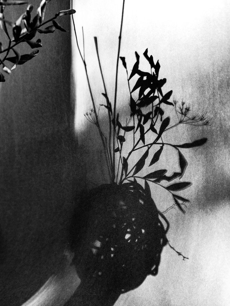 Photograph by Natalia Sopoćko