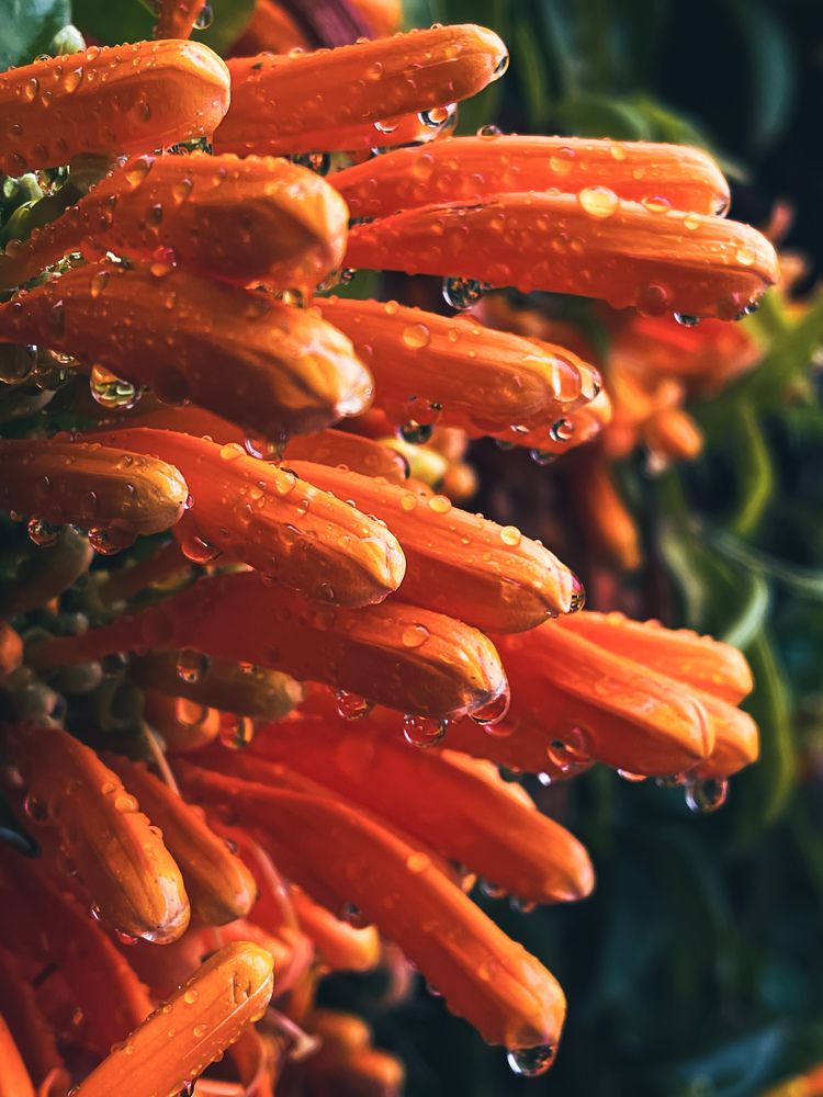 Photograph by Svetlana Garifullina