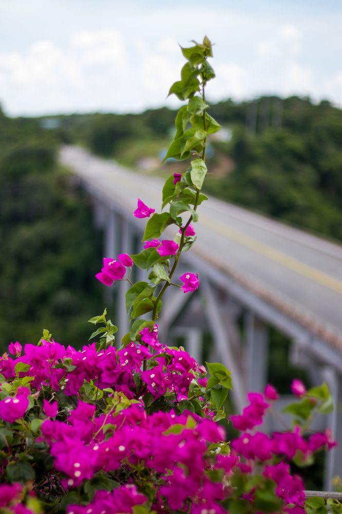 Photograph by Evelyn Carnot Montes