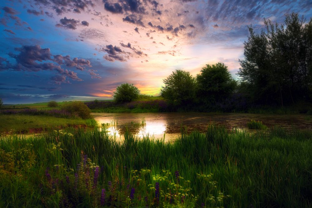 Photograph by Андрей Ныриков