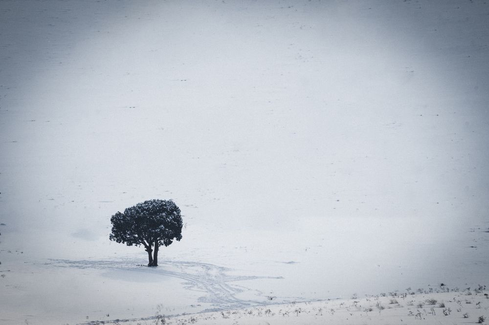 Фотография автора Siavash Banaei