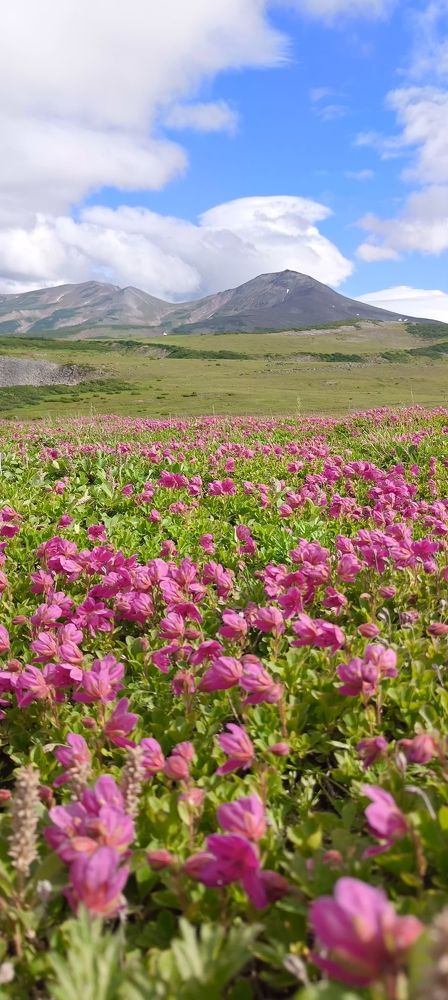 Photograph by Анастасия Устинова