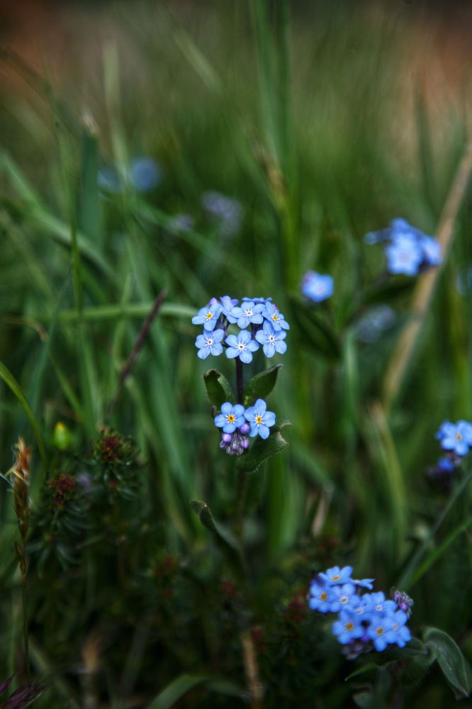 Photograph by Эльза Юнусова
