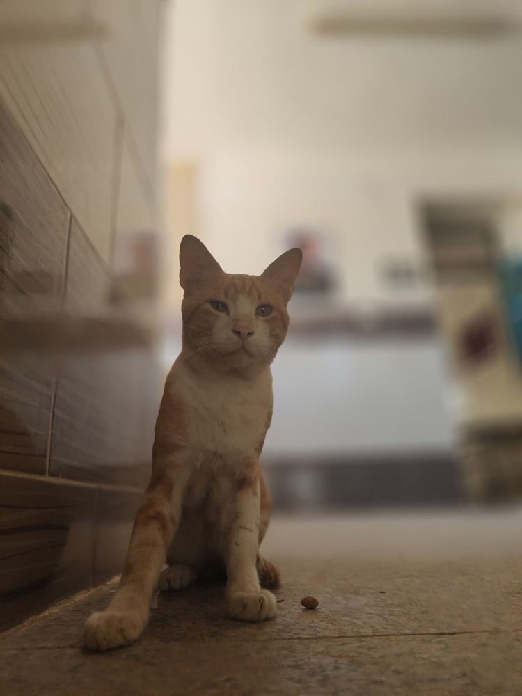 Фотография автора zakaria ahmad