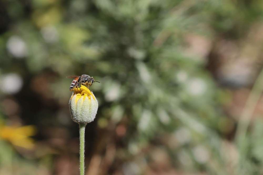 Фотография автора zakaria ahmad